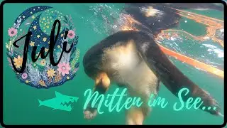 JULY VLOG | Hay moon, bear month, honey month | Online shop update & cherries 🍒