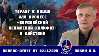 Валерий Пякин. Теракт в Ницце или процесс «европейский исламский халифат» в действии