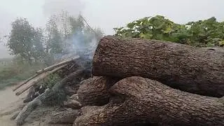 Cracker explosion