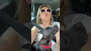 When Your Dog Thinks He’s a Howling Pro – Adorable Copycat Moment!#weareouttodiscover#ytshorts#shots