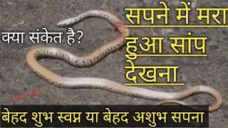 सपने में मरा हुआ सांप देखना  Sapne mein mara hua saanp dekhne ka matlab.sapne me saap ko marna.