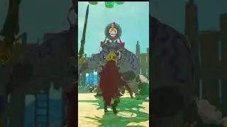 CRAZY COMBOS In Tears of the Kingdom... #totk #shorts #botw