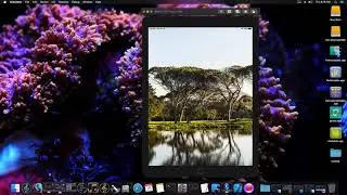 SwiftUI 2 - TimeLine Animation with Combine Timer