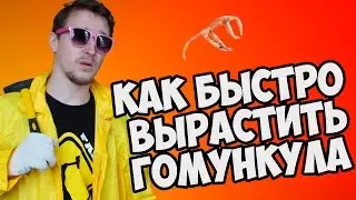 Как вырастить гомункула