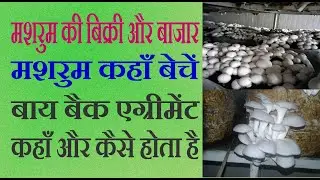 Mushroom sales and market, where to sell mushrooms 