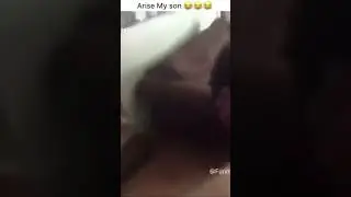 😂 #shorts #funny #funnyvideo