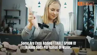Add Baking Soda To Your Tomato Plants, Just A Few Days Later You'll Be Shocked What Happens!
