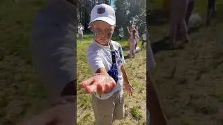 #funnyvideo #отдых
