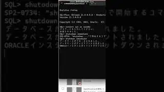 OracleDBをシャットダウンしてからスタートアップしました。コマンドではshutdown immediate, startupだけなので簡単に行けます。