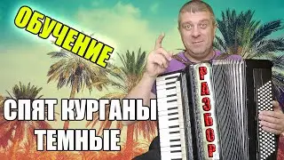 СПЯТ КУРГАНЫ ТЕМНЫЕ - РАЗБОР НА АККОРДЕОНЕ