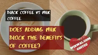 How can milk affect coffee? Coffee benefits .coffee vs coffee with milk