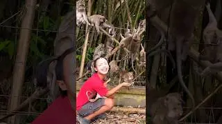 Stupid Has New Friends