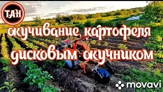 ОКУЧИВАНИЕ КАРТОФЕЛЯ. ДИСКОВЫМ ОКУЧНИКОМ.