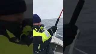 Тянем палтуса 59кг.