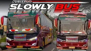 [[ AYAH ANDY ON DUTY ]] Ngoyod Dewi Sri 