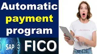 Automatic payment program_1 in sap fico // APP in sap fico // Call or WhatsApp me @ +91 7416797921