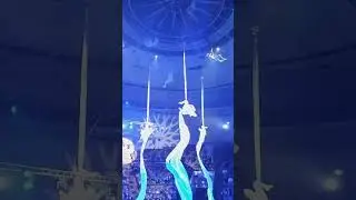 светящиеся шоу!