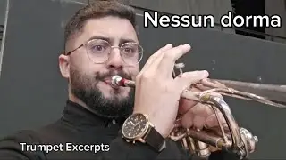 Nessun dorma