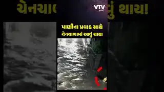 રાજકોટ: પોપટપરા ગરનાળામાં પાણીના પ્રવાહમાં તણાયો બાઇકચાલક, સદનસીબે બચાવ |VTV Gujarati