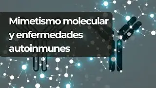 ¿Qué es el mimetismo molecular y por qué puede provocar enfermedades autoinmunes?