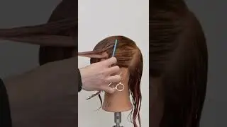 Quick Easy Shag Hair Cut