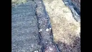 Засыпаем дорожки жужалкой. Грязи нет, медведка в шоке.