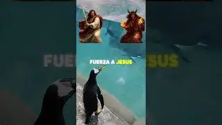 Lost penguin tries to return to his family! 😢🐧