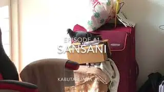 Ep #1 Sansani - Kabutar Ja Ja Ja...!