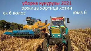 уборка кукурузы 2021 ск 6 колос -- юмз 6    10 15 сентября