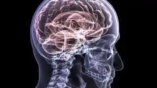 The Undiagnosed Patient and Early Relational Trauma