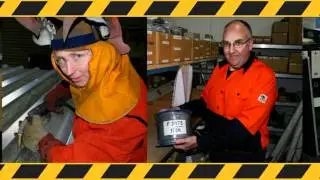HiVis Labour Hire