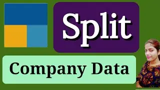 Split company data in tally prime I how to split company data in tally prime