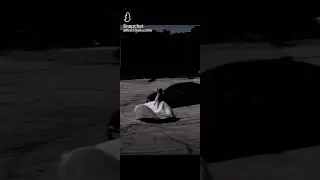 свадьба р&м #2024 #dance #танец