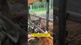 Вот и лето прошло! Словно и не бывало!