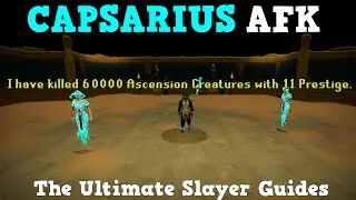 Post Nerf Capsarius AFK Guide | Runescape 3 Slayer Guide