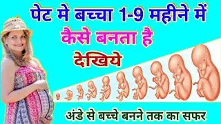 पेट मे बच्चा 1-9 महीने कैसे बनता है | Pregnancy month by month | Fetal Development Month By Month
