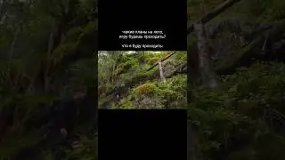 приключения ⛰️ #мем #природа #лето