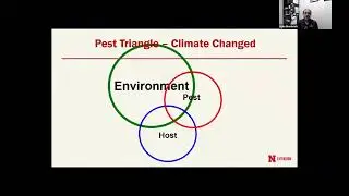 Alfalfa Diseases and Pests