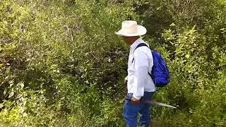 UN ARROYITO DE RANCHO VIEJO EN LA OAXAQUEÑA (LA NORIA DE ORTIZ)
