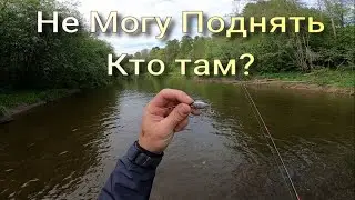Кто же там Не могу поднять Ловля голавля в Вейдерсах