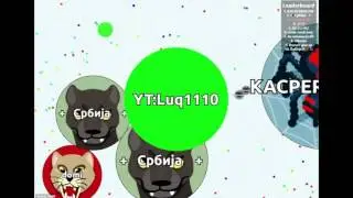 Agar.io High score 9335