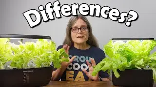AeroGarden vs Ahopegarden: Which Hydroponic System Actually Grows Better?