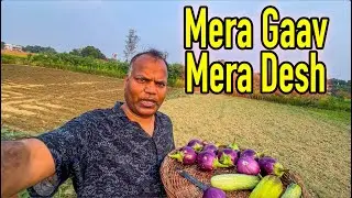 मेरा गाँव मेरा देश देश @APNAAMERICA