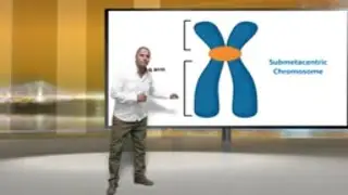 Chromosomes and Karyotype.