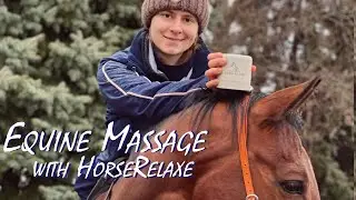 Equine Massage with HorseRelaxe | LanaZavada