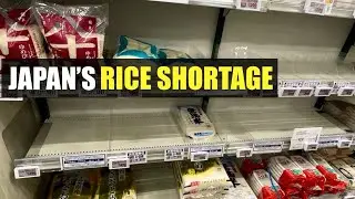 Japan’s Rice Shortage Explained | Where'd it all go?