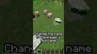How To Get Player's Heads in Minecraft 🗿 