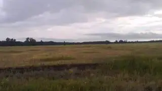Релаксационная пауза "Лесная прогулка"