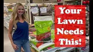Why You Need To Add Lime To Your Lawn