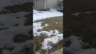 Lemorange is a degreaser, watch what it does to dog poop on a shovel